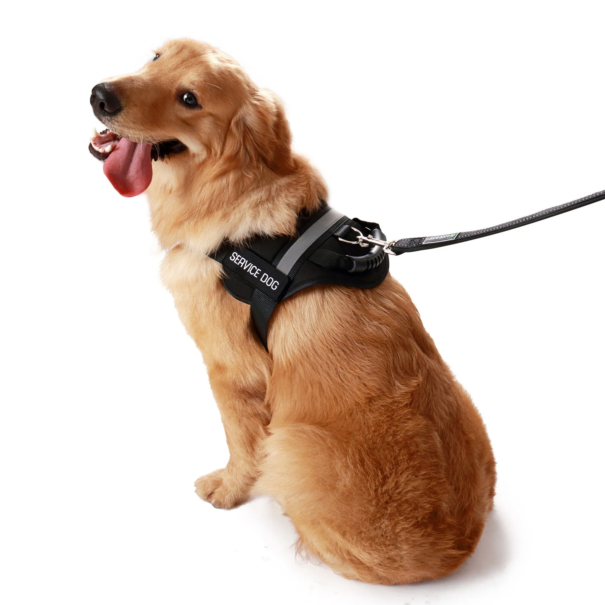 Bundle & Save Emotional Support Animal Vest With Handle - Image 9