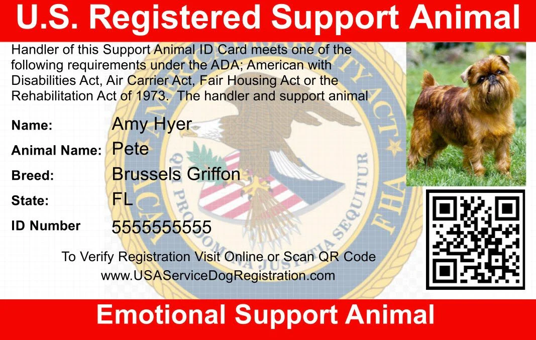 Emotional Support Animal Handle Vest Basic Package - Image 4