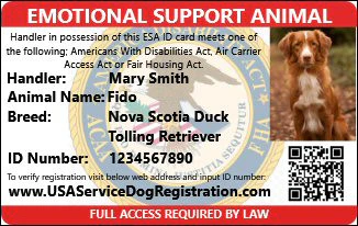 Emotional Support Animal Letter Premium Package Includes Housing Letter & Deluxe Package - Image 4