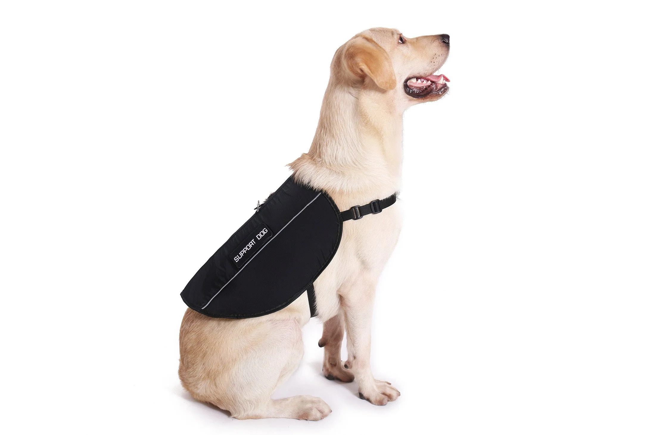 Emotional Support Animal Deluxe Registration Package - Image 8