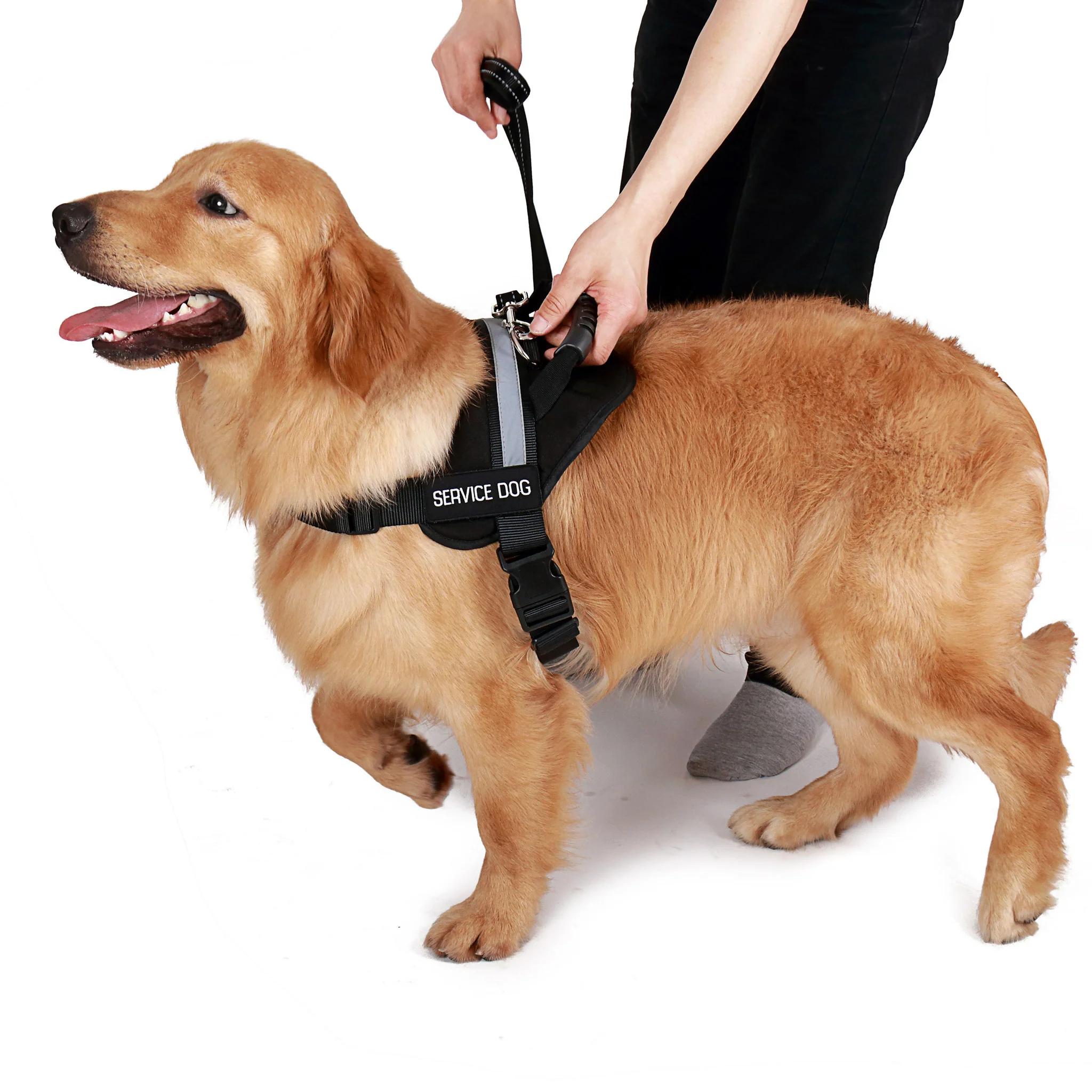 Service Dog Vest With Handle - Image 8