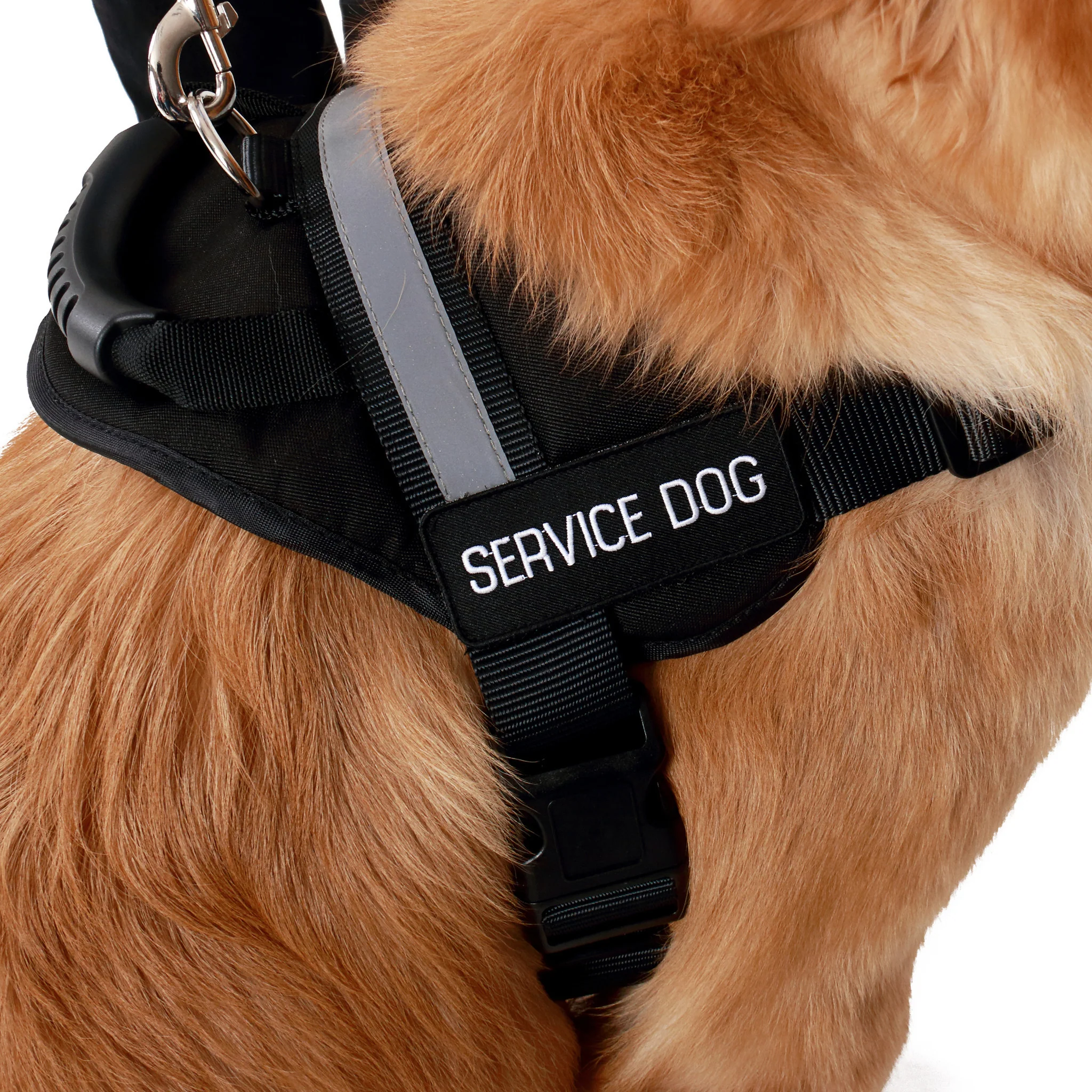 Service Dog Vest w/ Handle Deluxe Registration Package - Image 11